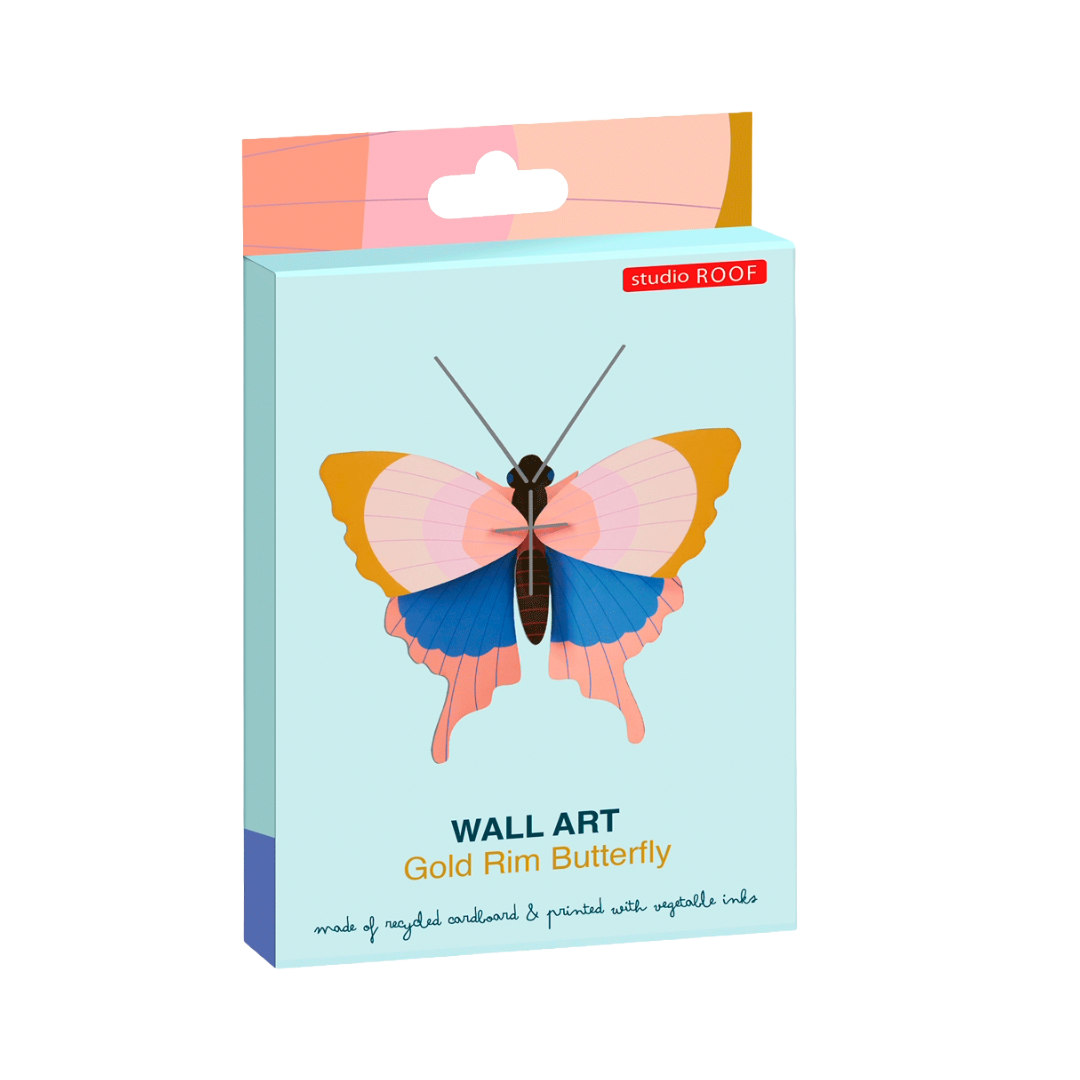 Gold Rim Butterfly