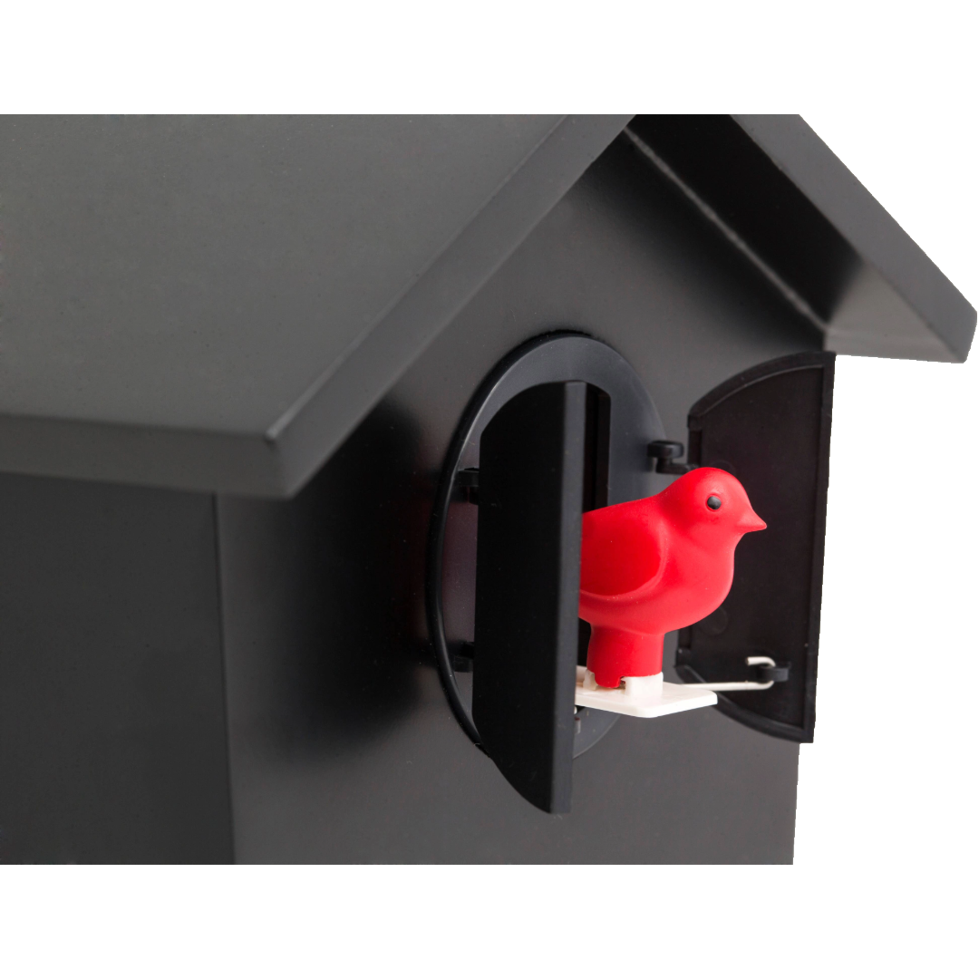 KOOKOO BirdHouse: Teal or Copper