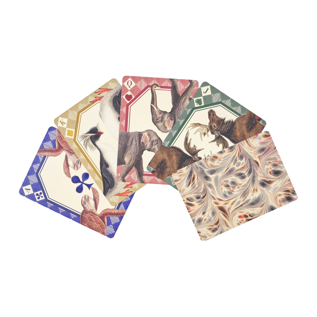 Animal Kingdom Single Playing Card Deck