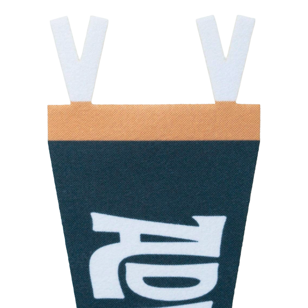 Adventure Felt Pennant