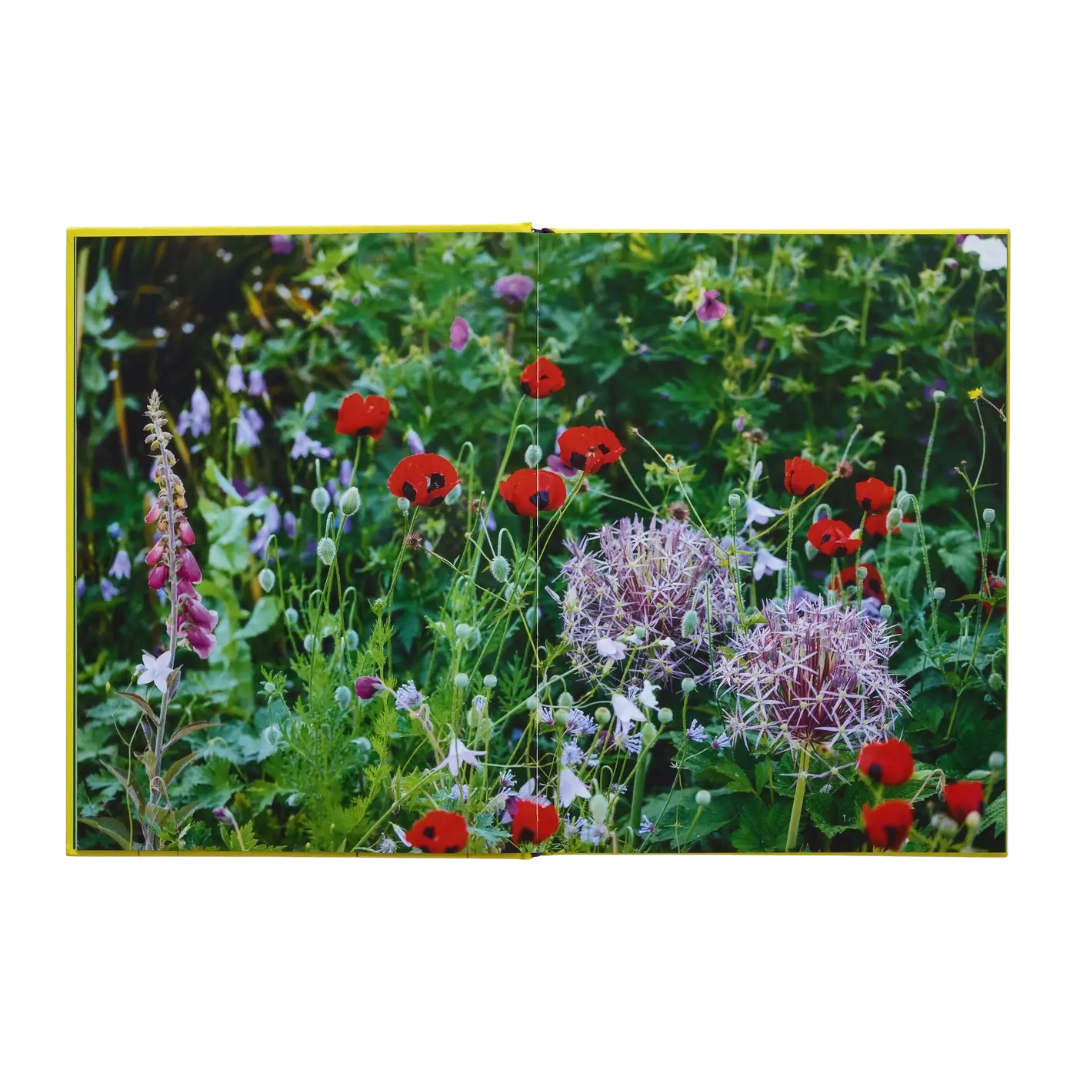 Untitled-51_e9dc109c-2cba-4c02-bd35-a16a348cfd01.png