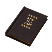 A Tiny Fart Diary