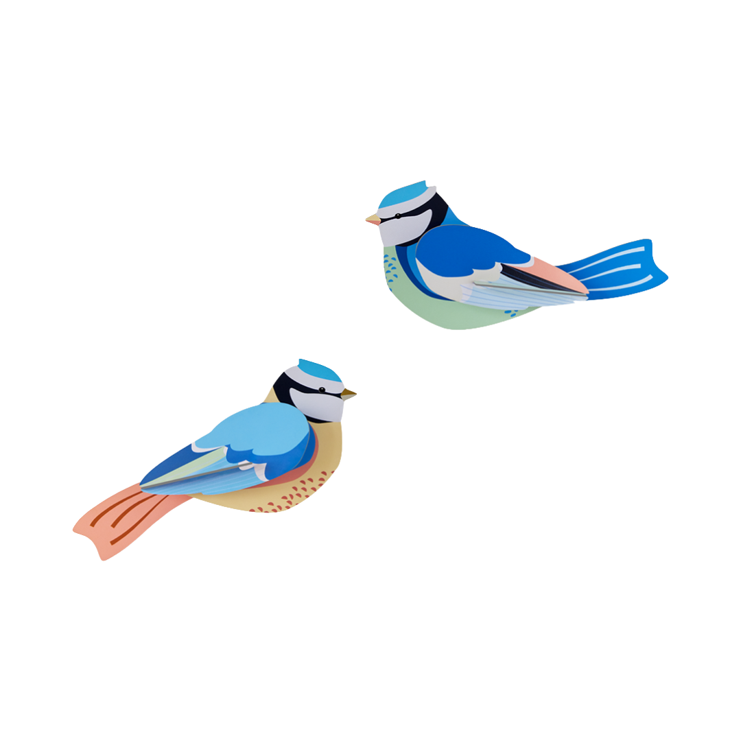 Blue Tits 3D Wall Art Craft Kit