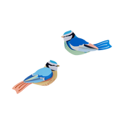 Blue Tits 3D Wall Art Craft Kit