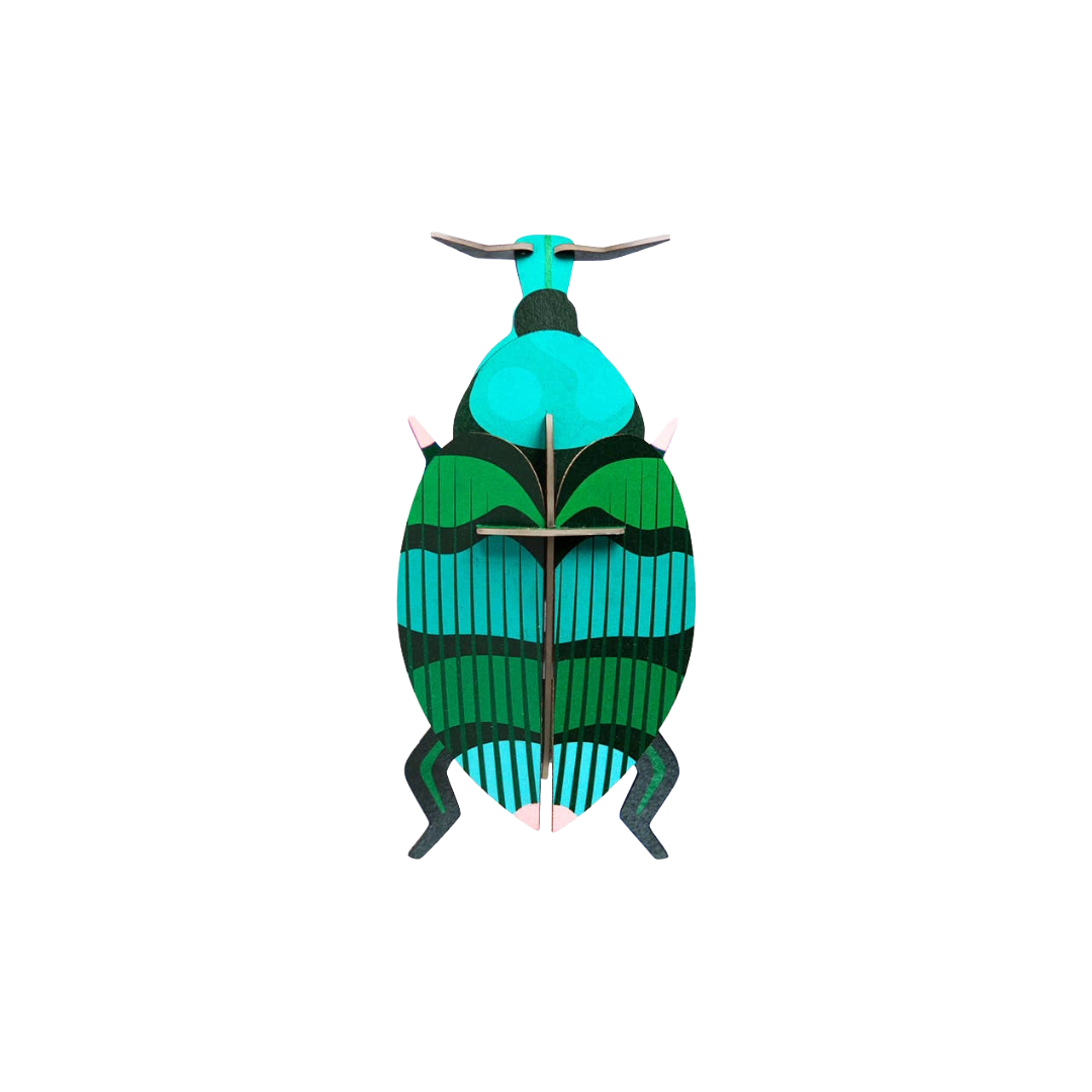 Weevil Beetle 3D Wall Art Craft Kit