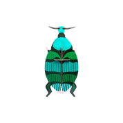 Weevil Beetle 3D Wall Art Craft Kit