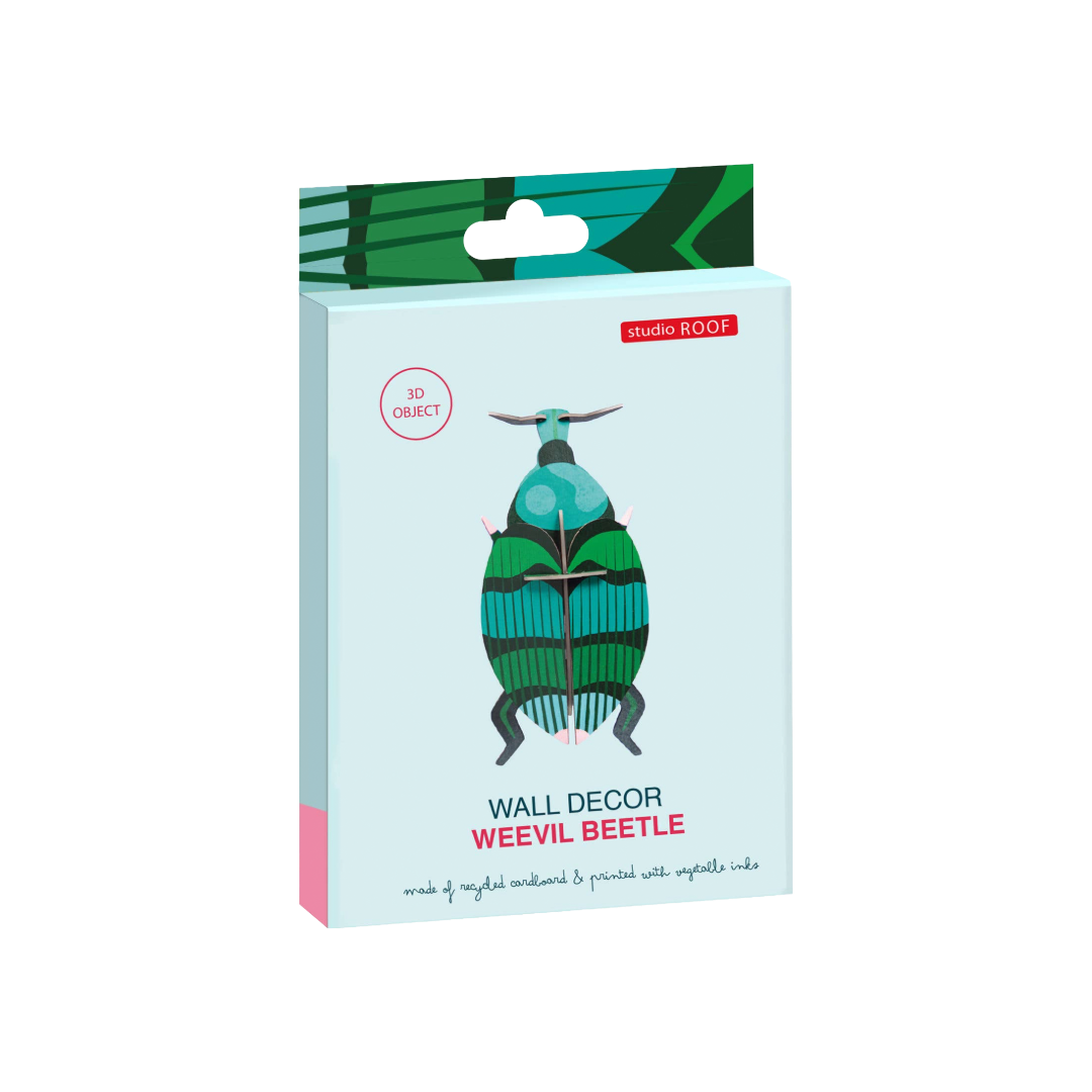 Weevil Beetle 3D Wall Art Craft Kit