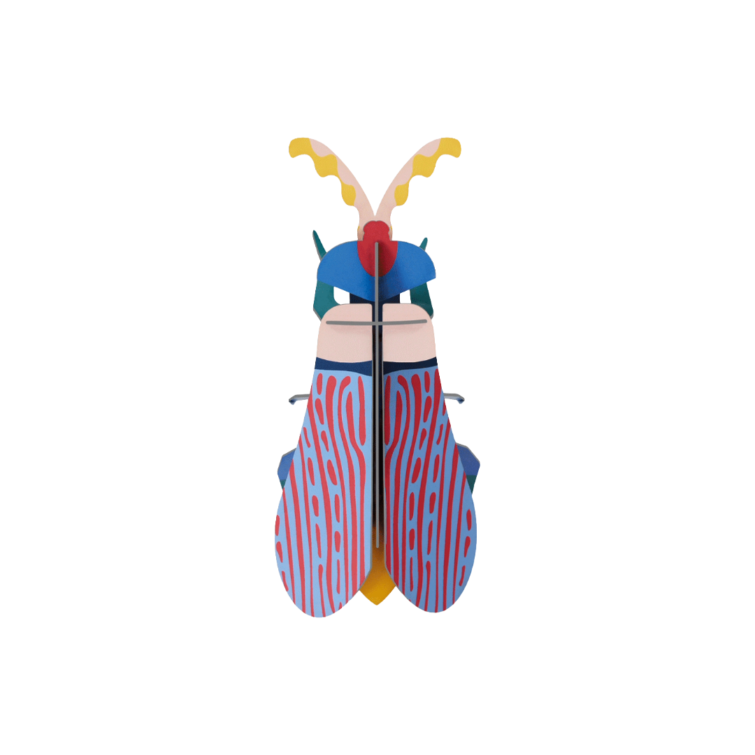 Striped Wing Beetle 3D Wall Art Kit