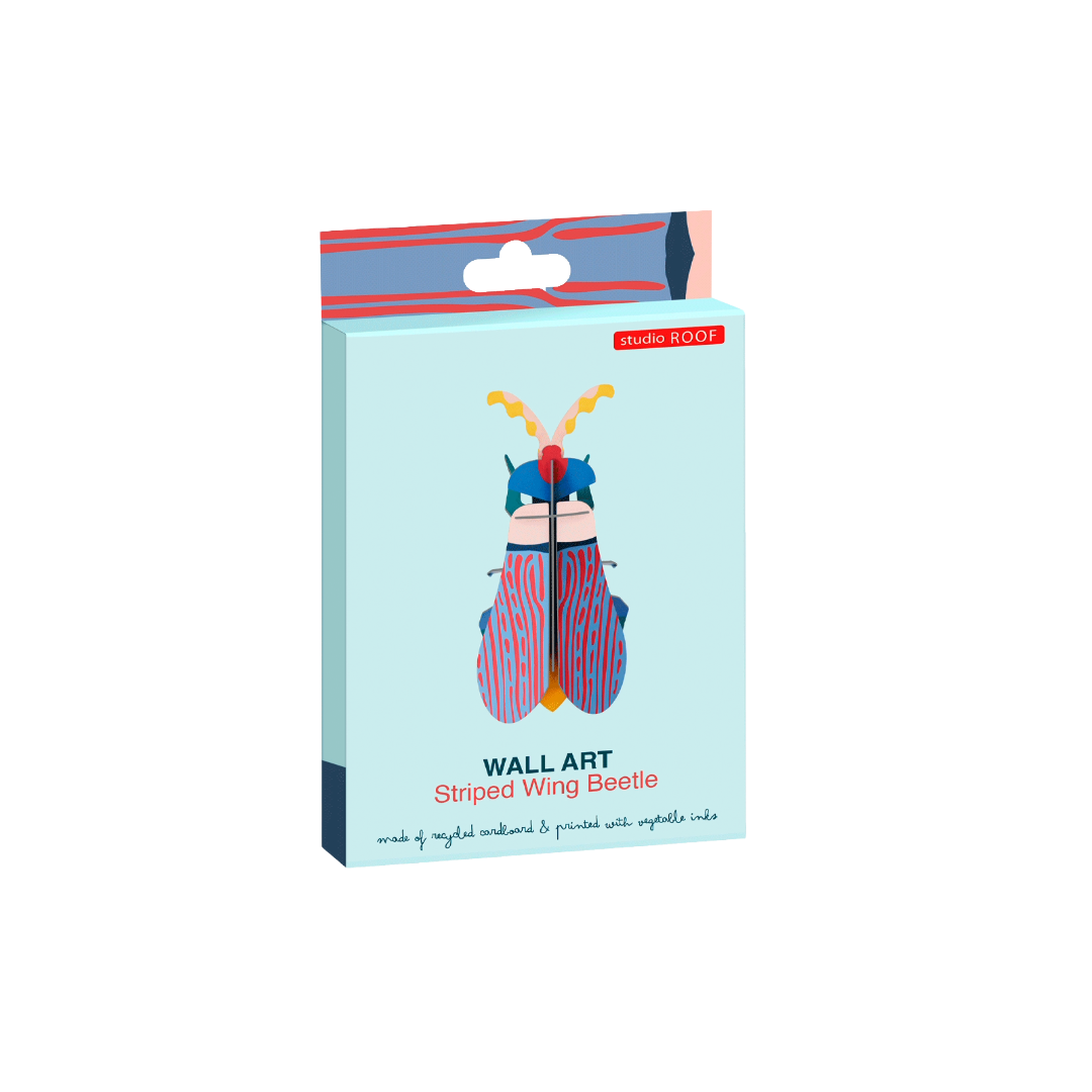 Striped Wing Beetle 3D Wall Art Kit