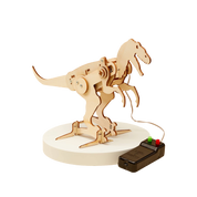 Dinosaur Robot DIY Craft Kit