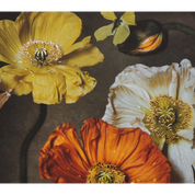The Grande Journal - Provence Market Poppies