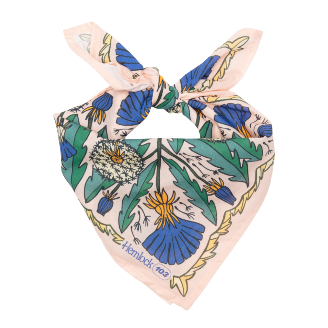Untitled-64_e18c9813-c39f-4359-a526-788b1190c433.png