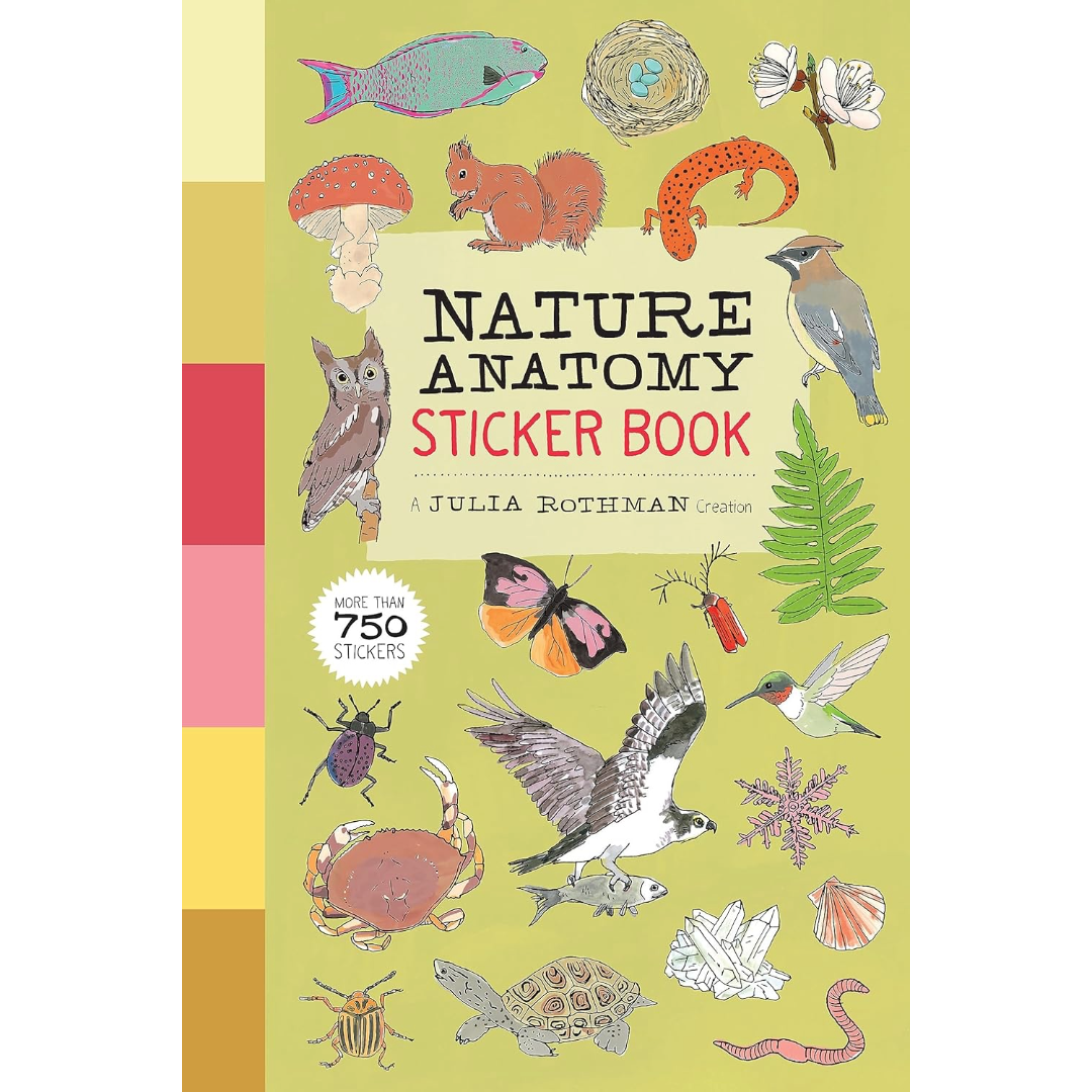 Nature Anatomy Sticker Book