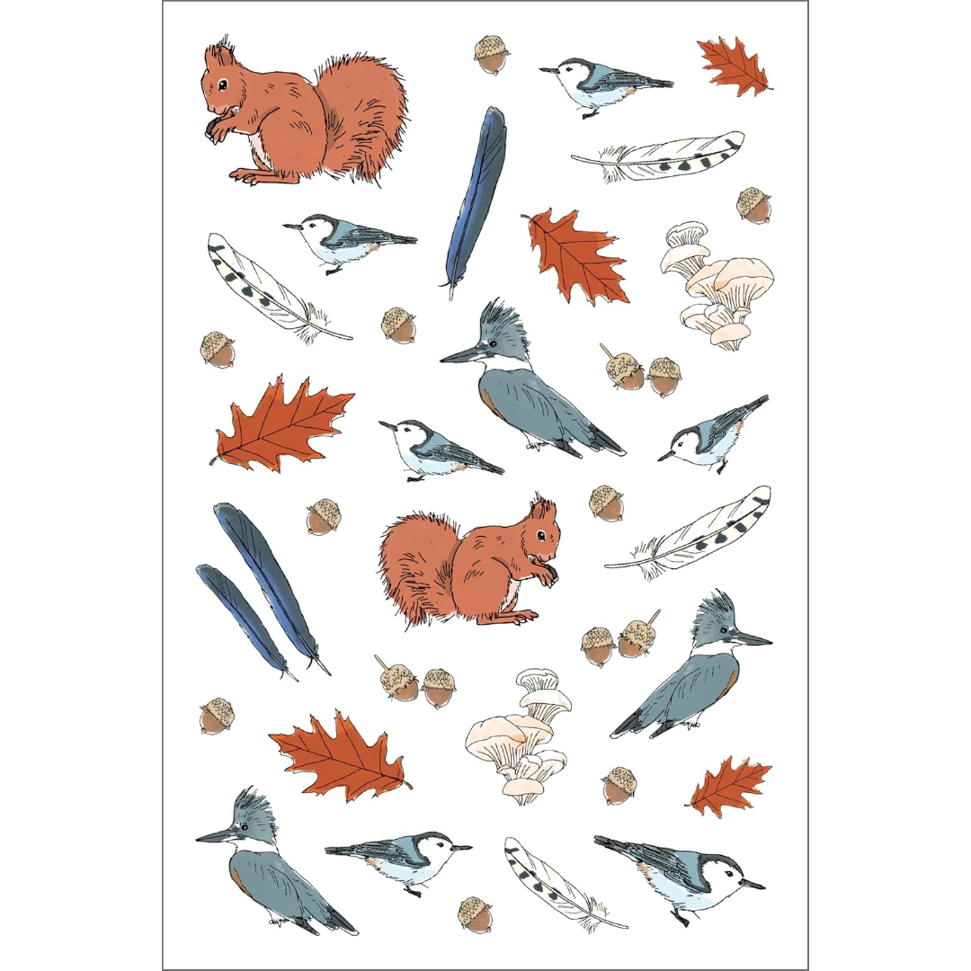 Nature Anatomy Sticker Book