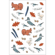 Nature Anatomy Sticker Book