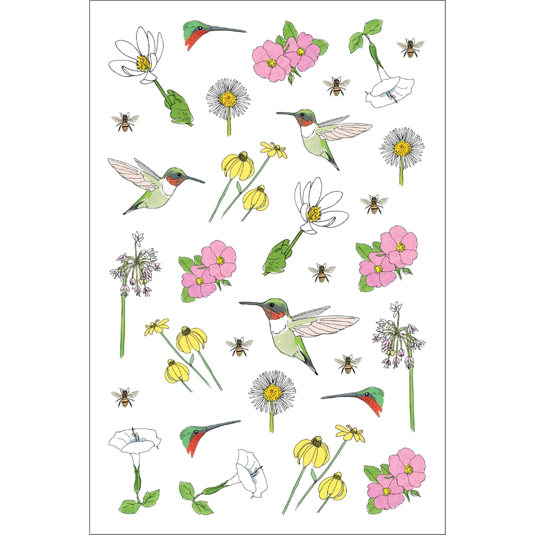 Nature Anatomy Sticker Book