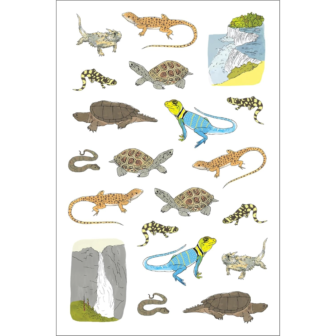 Nature Anatomy Sticker Book