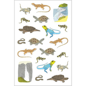 Nature Anatomy Sticker Book
