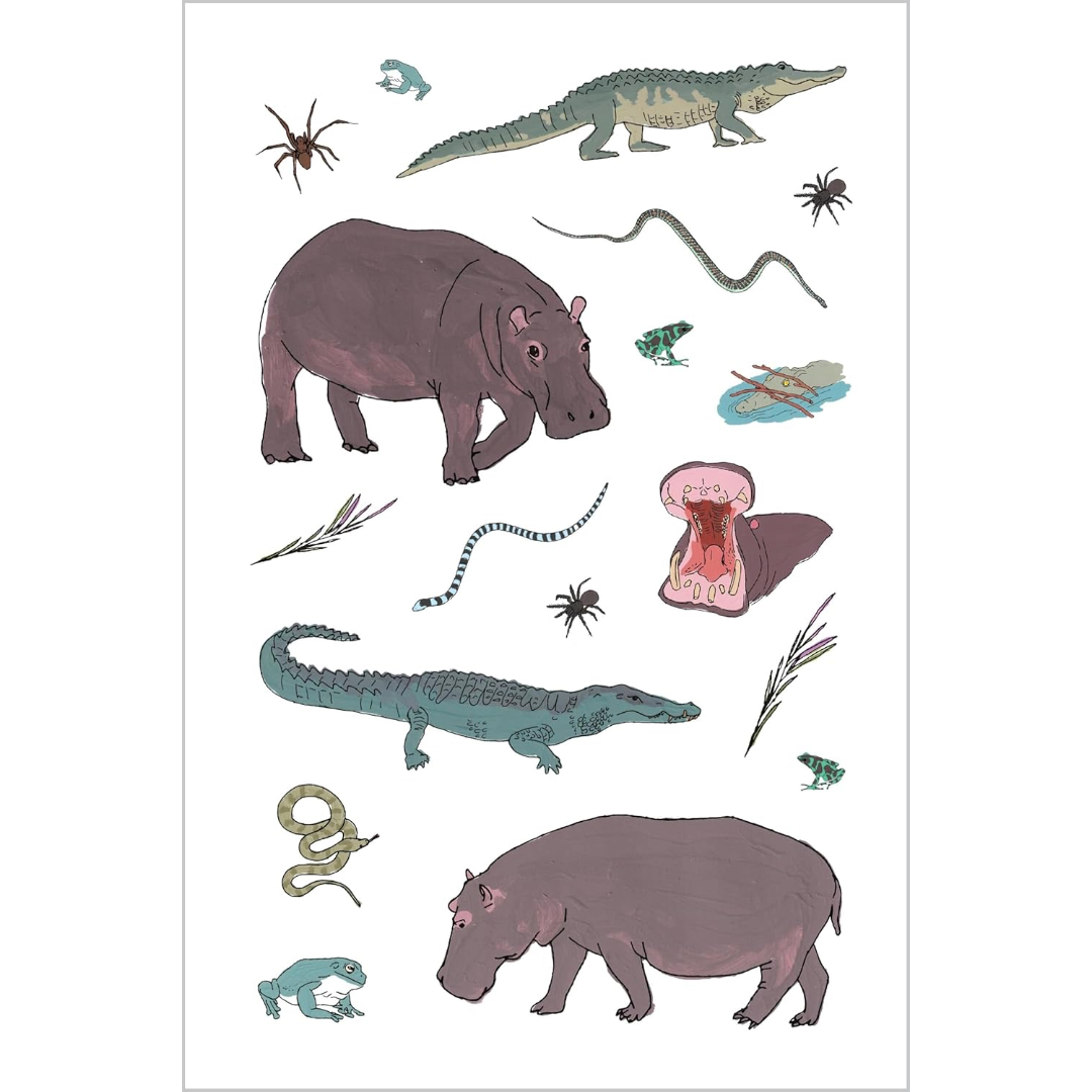 Wildlife Anatomy Sticker Book