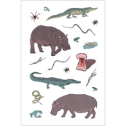 Wildlife Anatomy Sticker Book