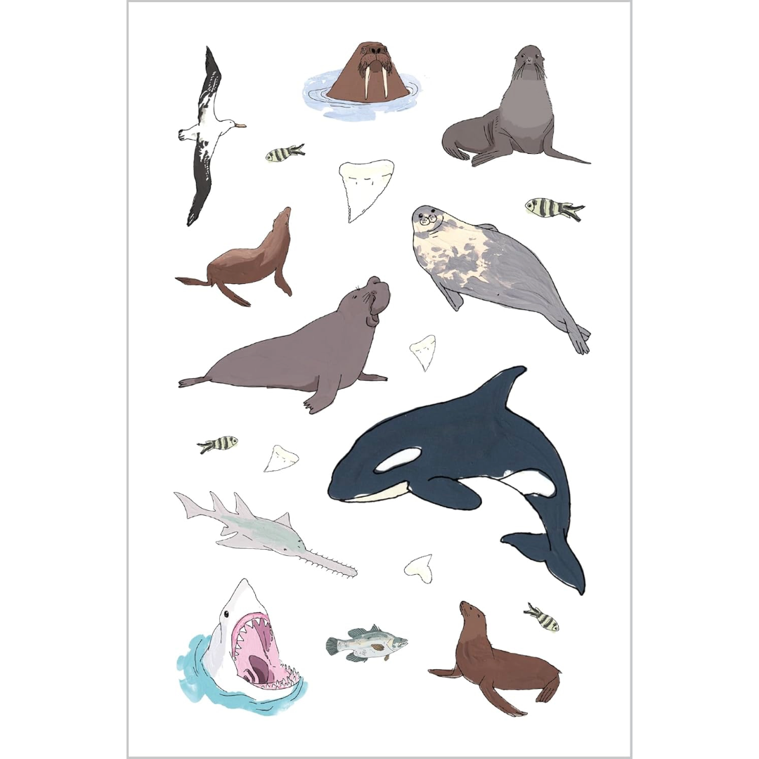 Wildlife Anatomy Sticker Book