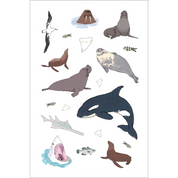 Wildlife Anatomy Sticker Book