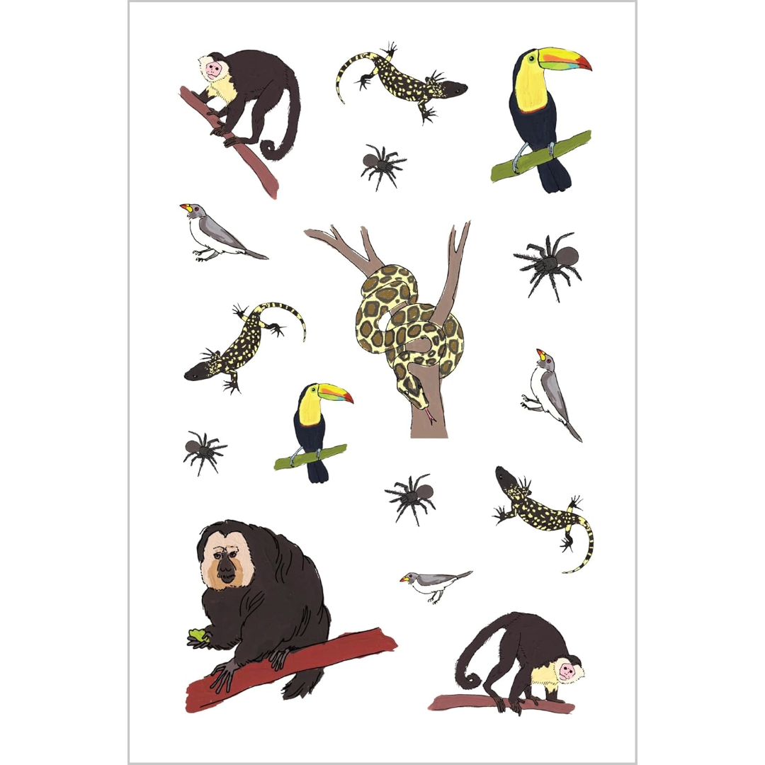 Wildlife Anatomy Sticker Book