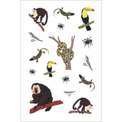 Wildlife Anatomy Sticker Book