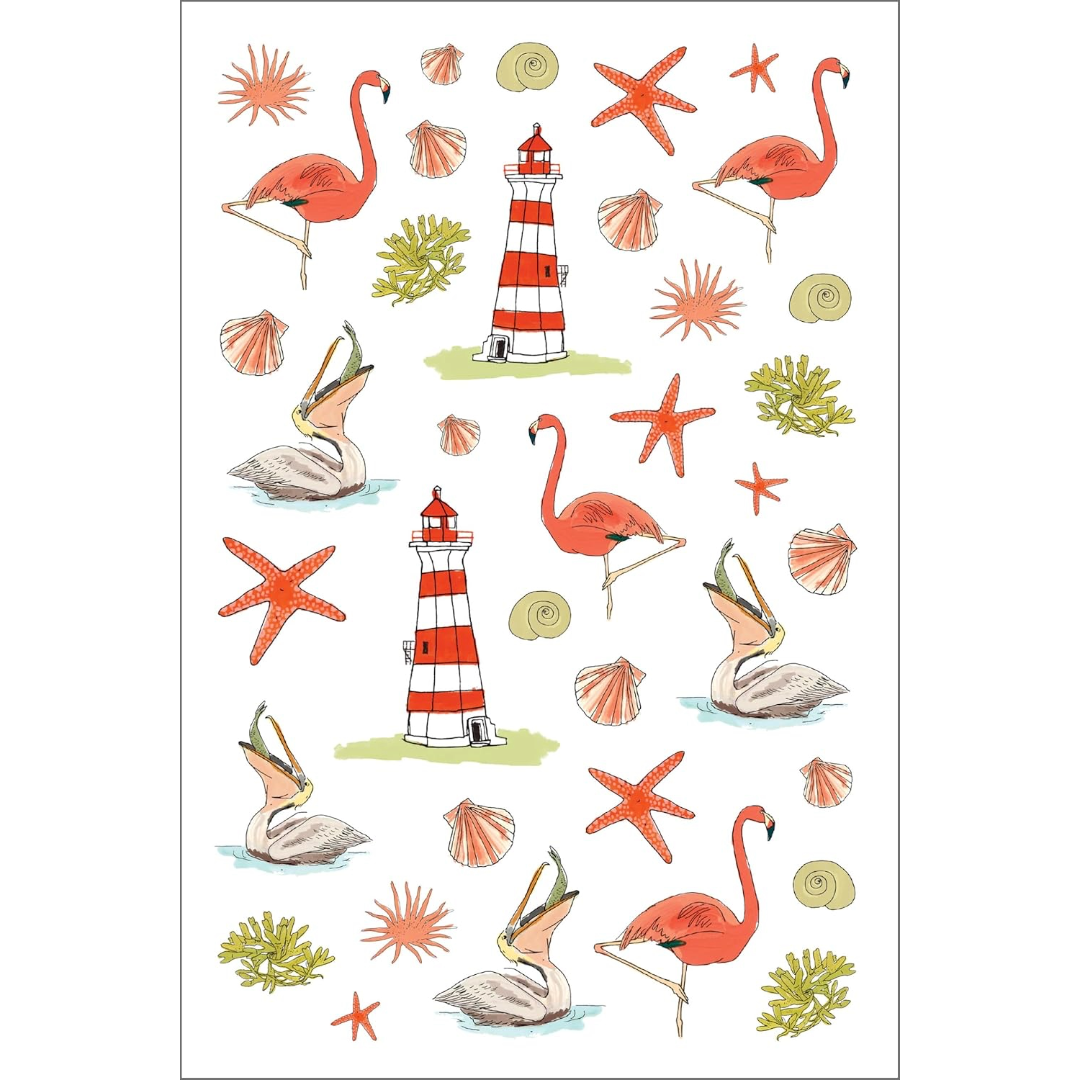 Ocean Anatomy Sticker Book