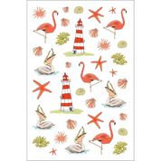 Ocean Anatomy Sticker Book