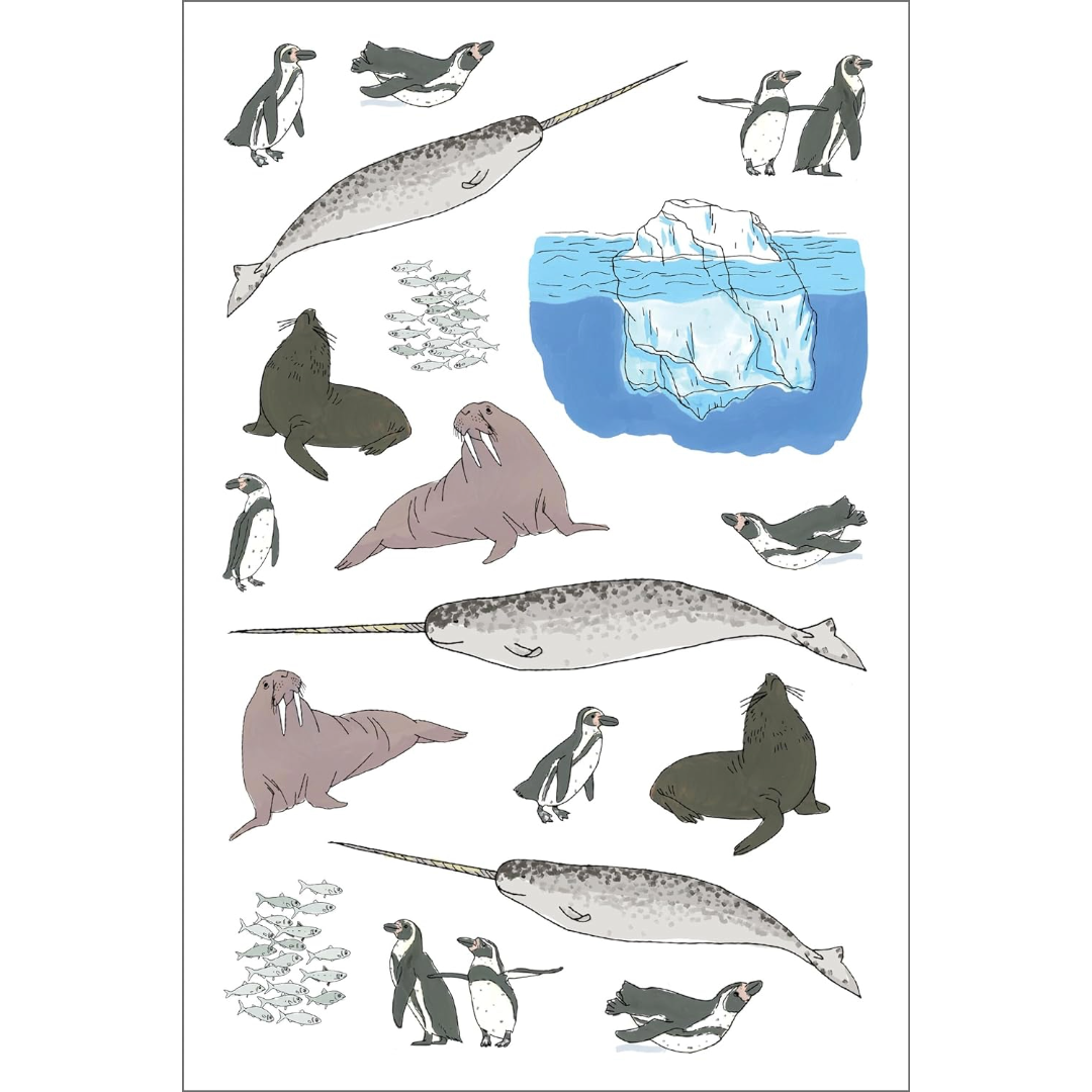 Ocean Anatomy Sticker Book