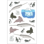 Ocean Anatomy Sticker Book