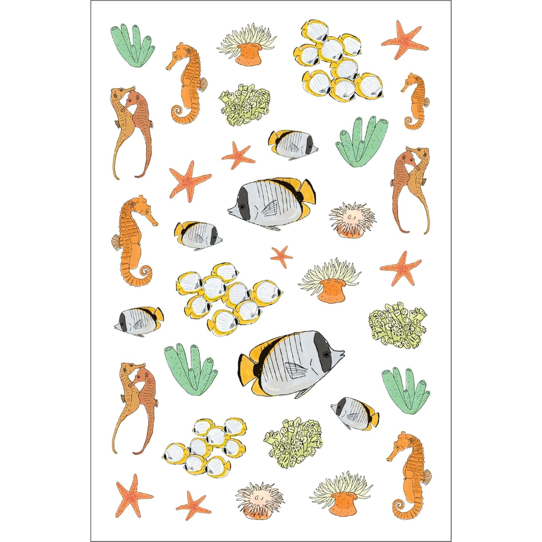 Ocean Anatomy Sticker Book