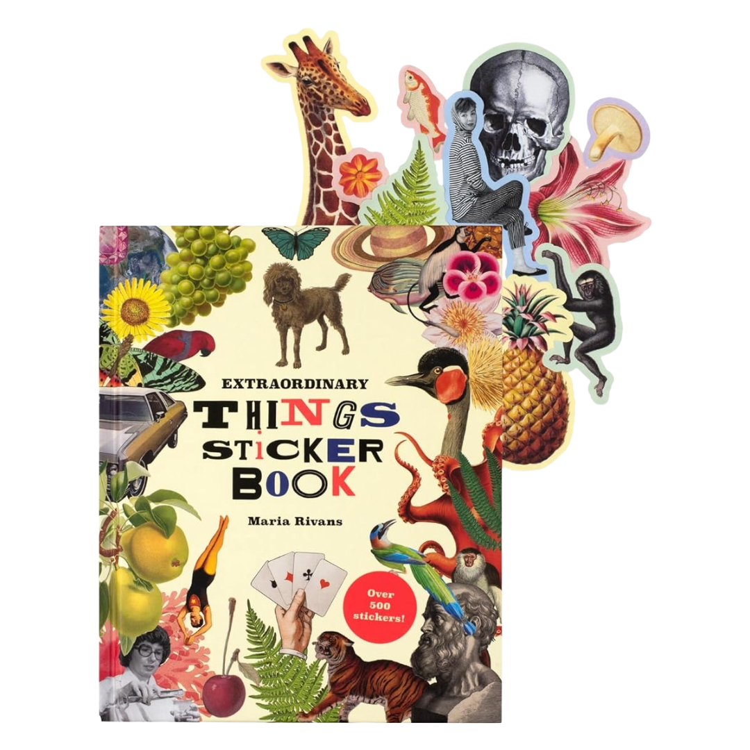 Extraordinary Things Sticker Book