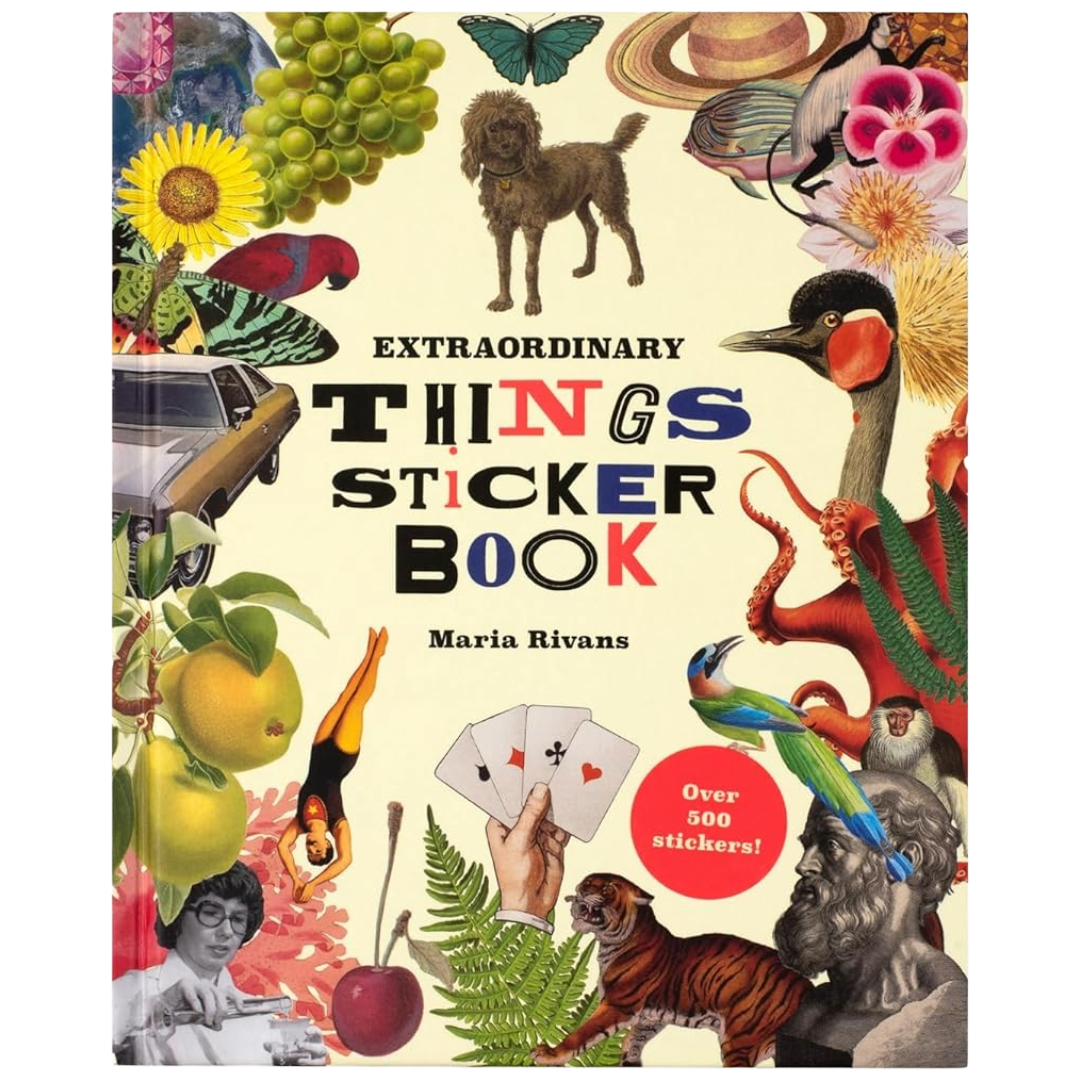 Extraordinary Things Sticker Book