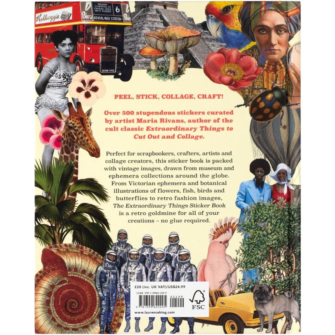 Extraordinary Things Sticker Book