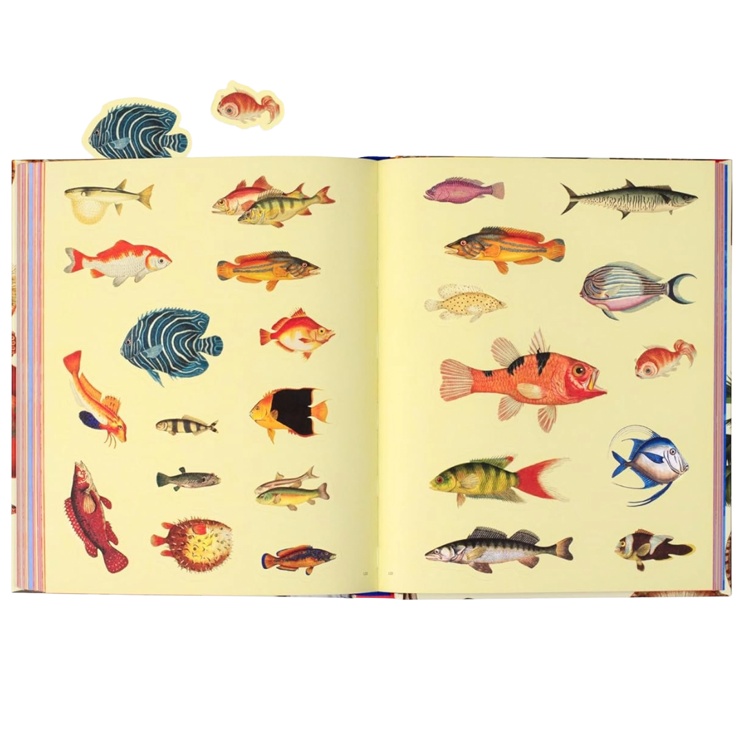 Extraordinary Things Sticker Book