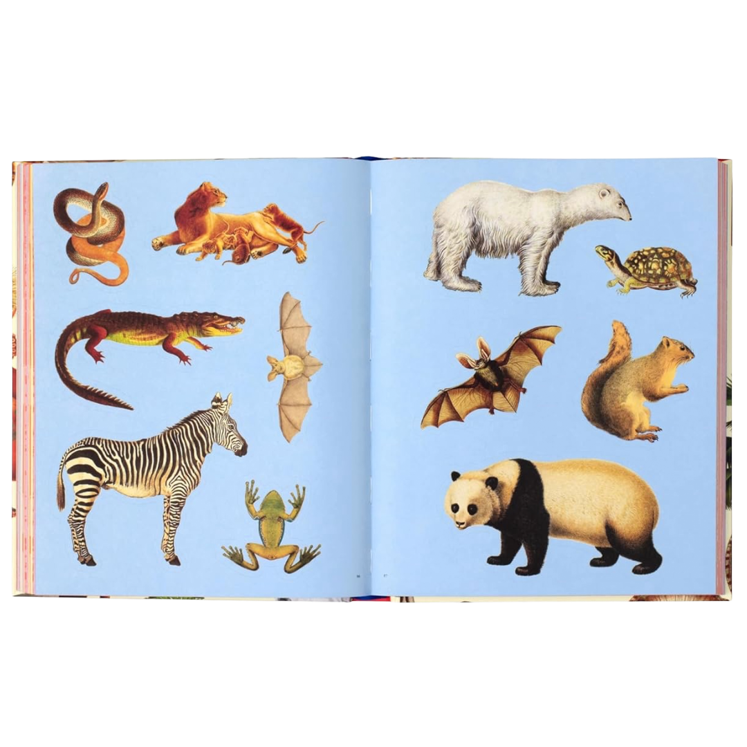 Extraordinary Things Sticker Book