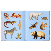 Extraordinary Things Sticker Book