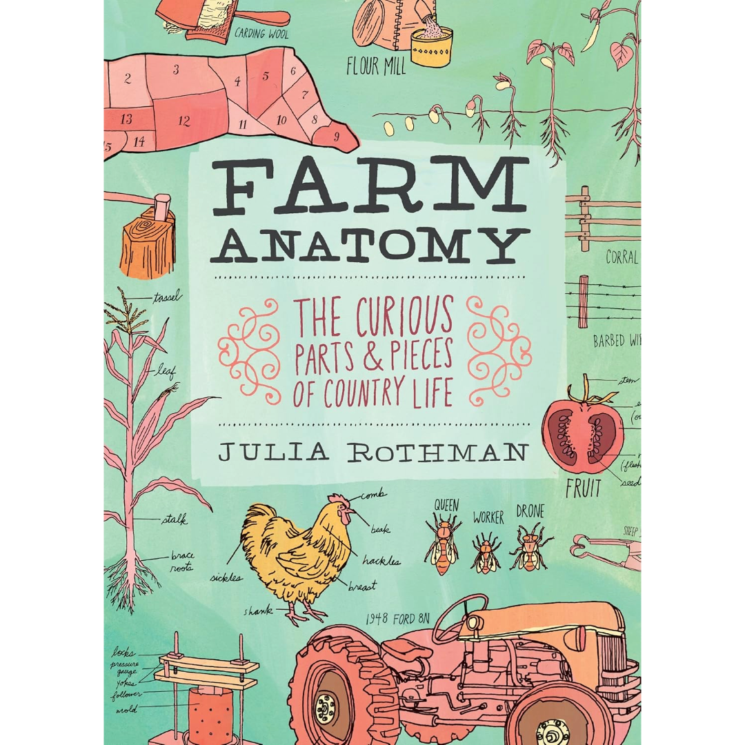 Farm Anatomy