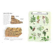 Farm Anatomy