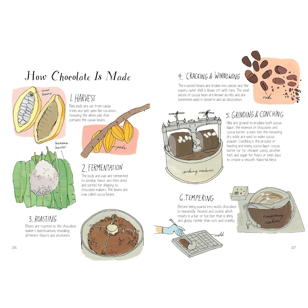 Food Anatomy