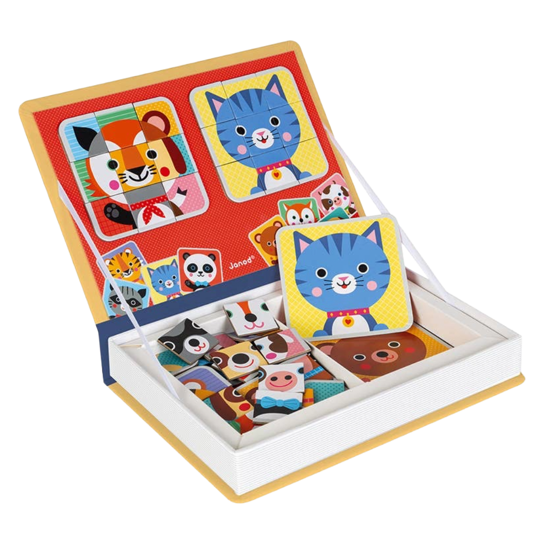 Mix & Match - Magnetic Book Game