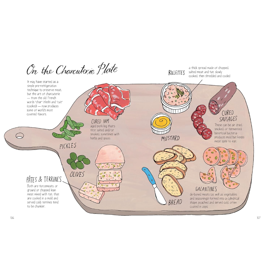 Food Anatomy