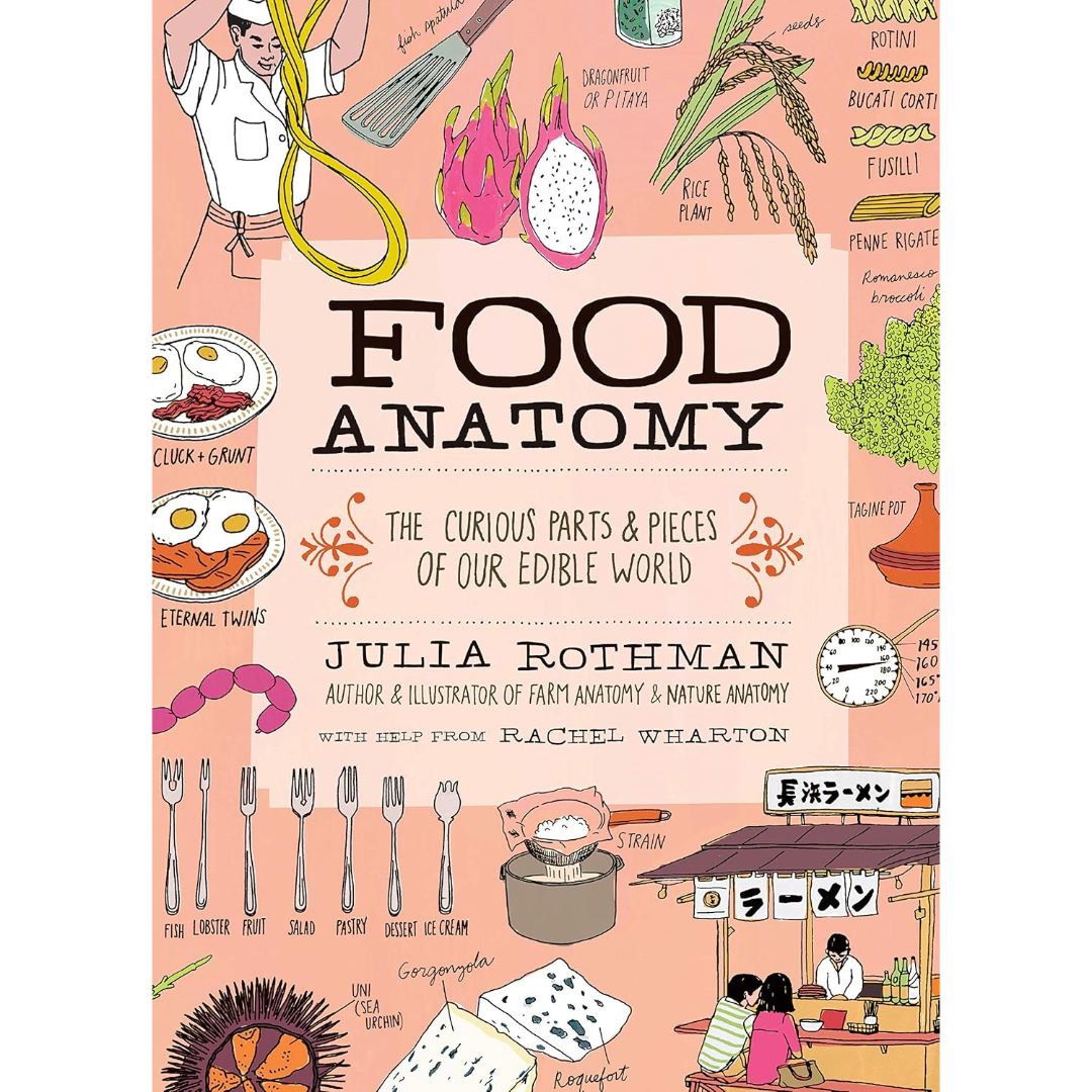 Food Anatomy