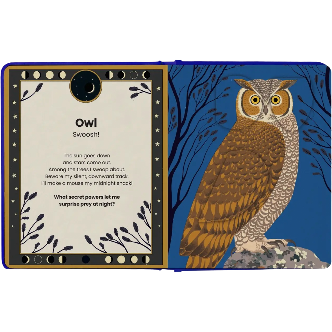 The Secret Powers Of Animals