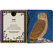 The Secret Powers Of Animals