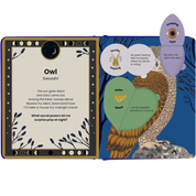 The Secret Powers Of Animals