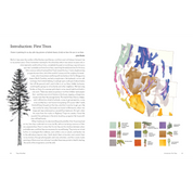 Trees of the West | An Artist's Guide