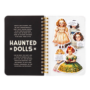 Haunted Dolls Sticker Book